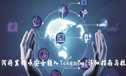 如何将莱特币安全转入Tokenim：详细指南与技巧