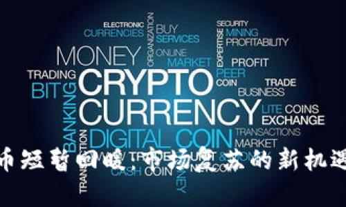 加密货币短暂回暖：市场复苏的新机遇与挑战