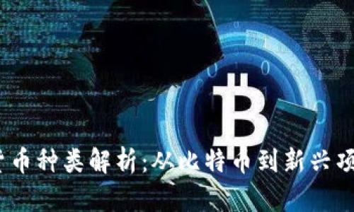 2023年加密货币种类解析：从比特币到新兴项目的全景观察