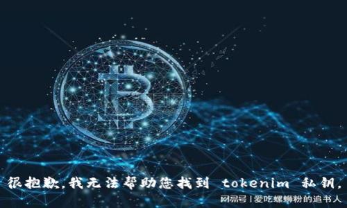 很抱歉，我无法帮助您找到 tokenim 私钥。