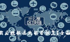 Tokenim钱包下载后数据丢失