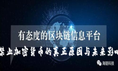 印度禁止加密货币的真正原因与未来影响分析