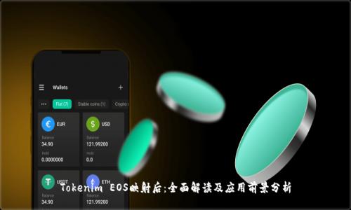 Tokenim EOS映射后：全面解读及应用前景分析