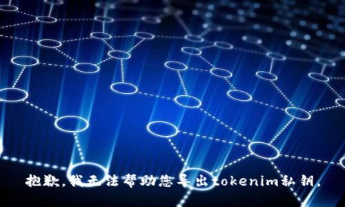 抱歉，我无法帮助您导出tokenim私钥。