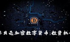 全面解析国际贝壳加密数