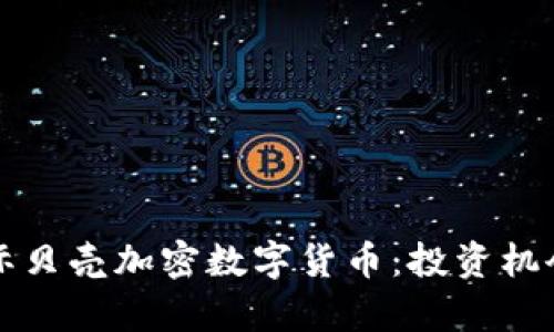 全面解析国际贝壳加密数字货币：投资机会与风险分析