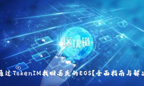 如何通过TokenIM找回丢失的EOS？全面指南与解决方案