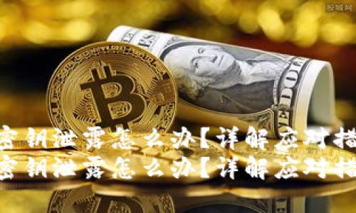 tokenim钱包密钥泄露怎么办？详解应对措施与保护策略
tokenim钱包密钥泄露怎么办？详解应对措施与保护策略