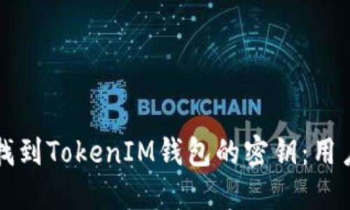 如何找到TokenIM钱包的密钥：用户指南