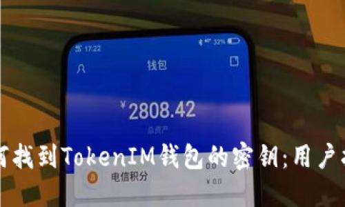 如何找到TokenIM钱包的密钥：用户指南