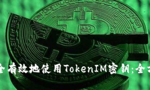 如何安全有效地使用TokenIM密钥：全方位指南