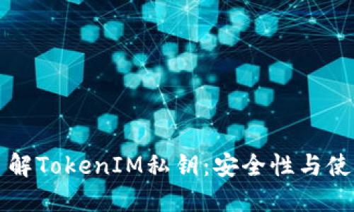 深入了解TokenIM私钥：安全性与使用指南
