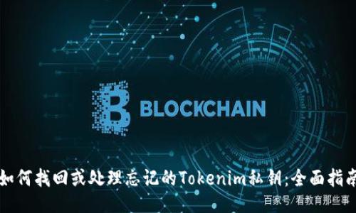 如何找回或处理忘记的Tokenim私钥：全面指南