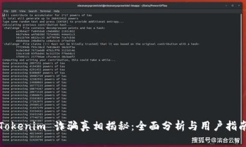 Tokenim 诈骗真相揭秘：全面分析与用户指南