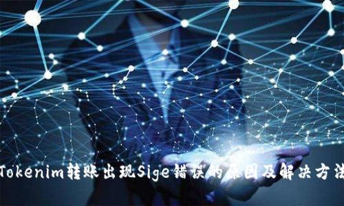 Tokenim转账出现Sige错误的原因及解决方法
