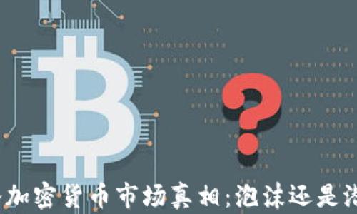 
硅谷加密货币市场真相：泡沫还是潜力？