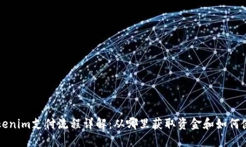 Tokenim支付流程详解：从哪里获取资金和如何使用