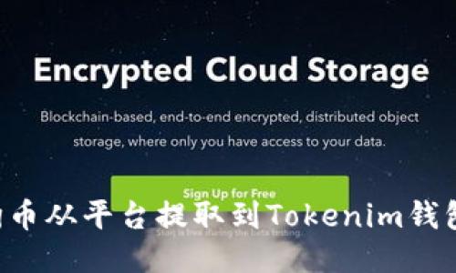 如何将狗狗币从平台提取到Tokenim钱包：详细指南