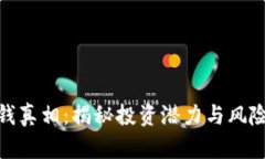 加密货币赚钱真相：揭秘投资潜力与风险并存的