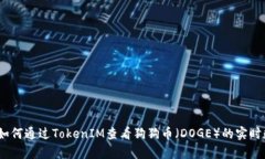 全面解析：如何通过TokenIM查看狗狗币（DOGE）的实