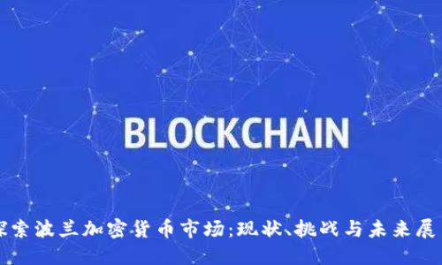 探索波兰加密货币市场：现状、挑战与未来展望