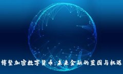 博鳌加密数字货币：未来