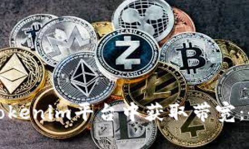 如何在Tokenim平台中获取带宽：全面指南