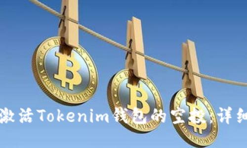 如何激活Tokenim钱包的空投：详细指南