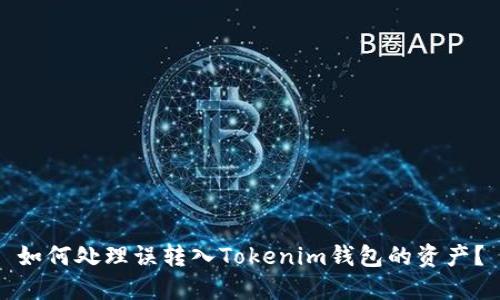 如何处理误转入Tokenim钱包的资产？