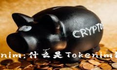  全面解析Tokenim：什么是