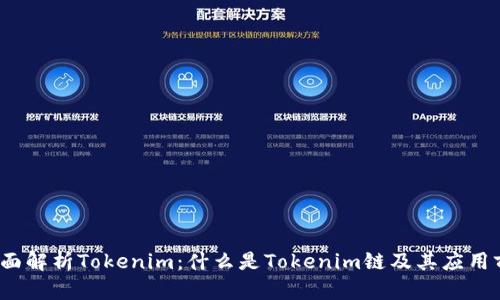  全面解析Tokenim：什么是Tokenim链及其应用前景