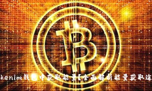 如何在Tokenim钱包中获取能量？全面解析能量获取途径与技巧