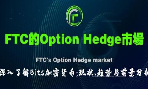 深入了解Bits加密货币：现状、趋势与前景分析