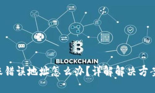 Tokenim转账错误地址怎么办？详解解决方案与预防措施