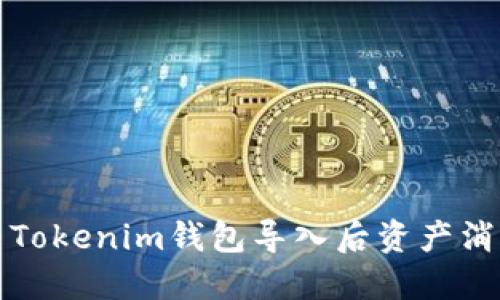 如何解决Tokenim钱包导入后资产消失的问题？