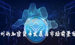 泸州的加密货币发展与市